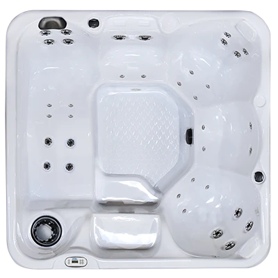 Hawaiian PZ-636L hot tubs for sale in Cupertino